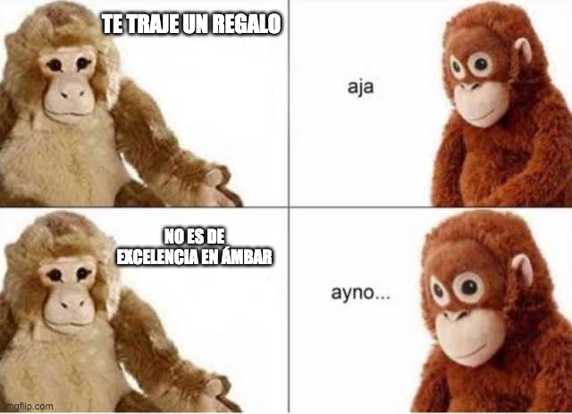 aja ayno | TE TRAJE UN REGALO; NO ES DE EXCELENCIA EN ÁMBAR | image tagged in aja ayno | made w/ Imgflip meme maker