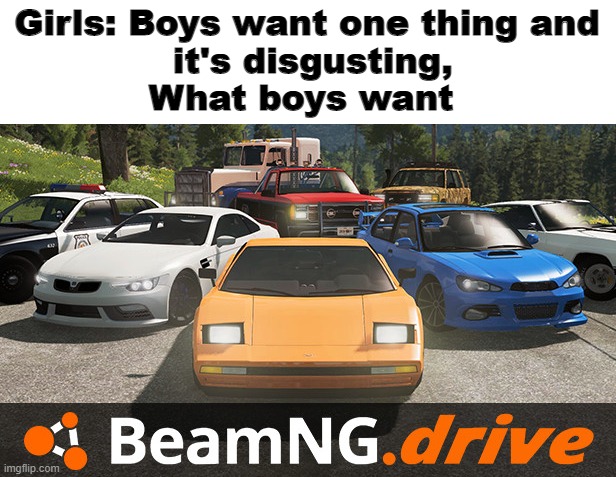car | Girls: Boys want one thing and
 it's disgusting,
What boys want | image tagged in beamng | made w/ Imgflip meme maker