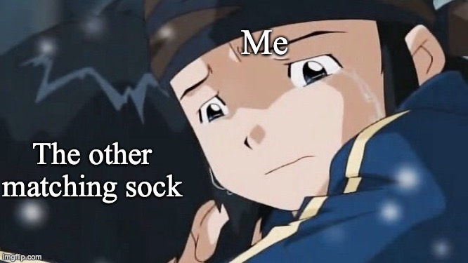 Me; The other matching sock | image tagged in digimon,socks,anime | made w/ Imgflip meme maker