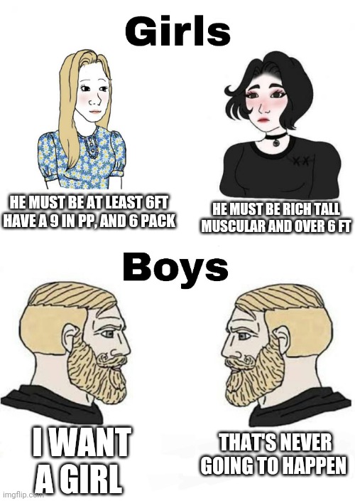 Girls vs Boys | HE MUST BE AT LEAST 6FT HAVE A 9 IN PP, AND 6 PACK; HE MUST BE RICH TALL MUSCULAR AND OVER 6 FT; THAT'S NEVER GOING TO HAPPEN; I WANT A GIRL | image tagged in girls vs boys,boys vs girls | made w/ Imgflip meme maker