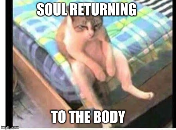 Soul returnig | SOUL RETURNING; TO THE BODY | image tagged in to | made w/ Imgflip meme maker