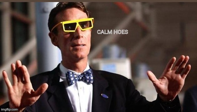 calm hoes | image tagged in calm hoes | made w/ Imgflip meme maker