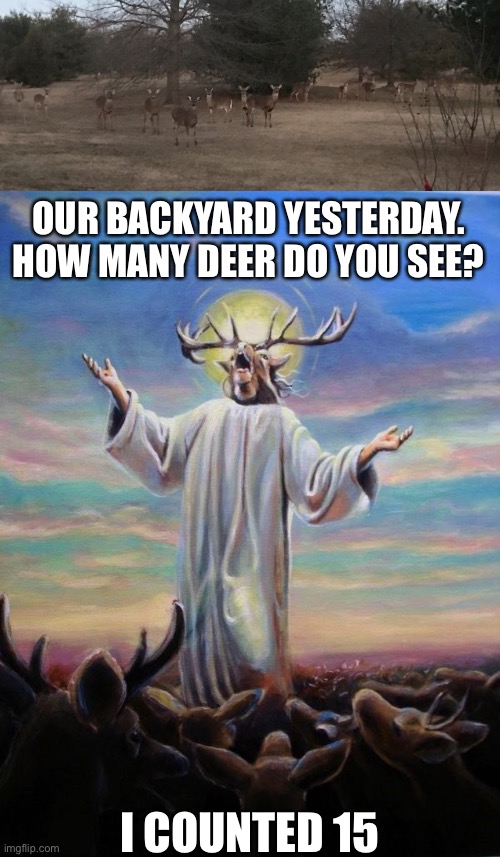 Oh deer, it's time | OUR BACKYARD YESTERDAY. HOW MANY DEER DO YOU SEE? I COUNTED 15 | image tagged in deer lord,deer,timiddeer,invasion | made w/ Imgflip meme maker