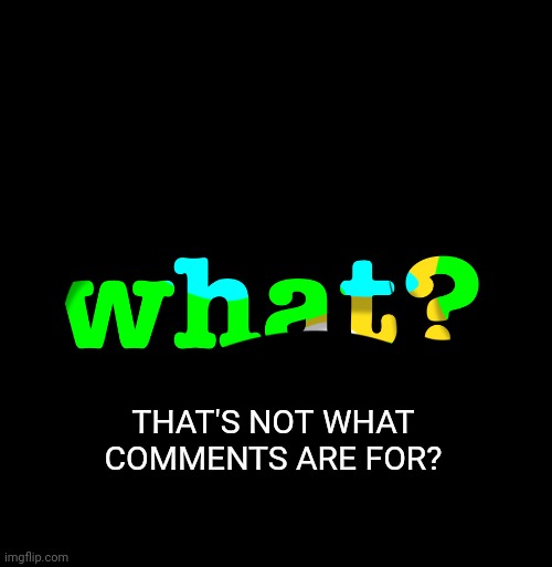 what | THAT'S NOT WHAT COMMENTS ARE FOR? | image tagged in what | made w/ Imgflip meme maker