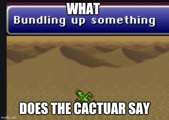 What does the Cactuar Say | WHAT; DOES THE CACTUAR SAY | image tagged in meme,funny,cactrot,cactuar,say,i dont know | made w/ Imgflip meme maker