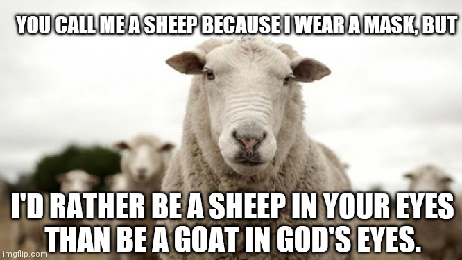 Christians who disobey authority are being disobedient to God. | YOU CALL ME A SHEEP BECAUSE I WEAR A MASK, BUT; I'D RATHER BE A SHEEP IN YOUR EYES
THAN BE A GOAT IN GOD'S EYES. | image tagged in sheep,sheeple,false christians,disobedient christians,sheep vs goat,christianity | made w/ Imgflip meme maker