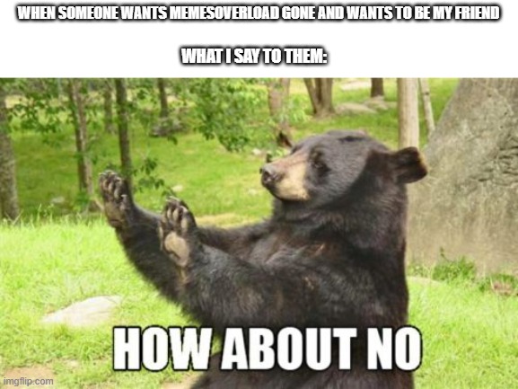 Please don't delete memes_overload | WHEN SOMEONE WANTS MEMESOVERLOAD GONE AND WANTS TO BE MY FRIEND; WHAT I SAY TO THEM: | image tagged in memes,how about no bear | made w/ Imgflip meme maker