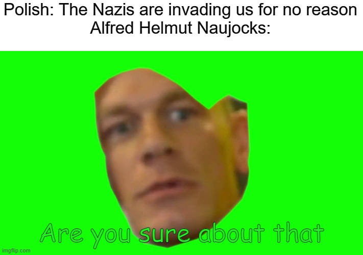 He faked an attack with his men dressing and talking Polish attacking the Germans | Polish: The Nazis are invading us for no reason
Alfred Helmut Naujocks:; Are you sure about that | image tagged in are you sure about that cena,poland,germany | made w/ Imgflip meme maker