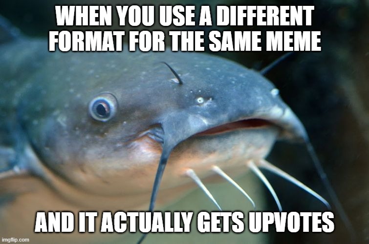 Surprised Catfish | WHEN YOU USE A DIFFERENT FORMAT FOR THE SAME MEME; AND IT ACTUALLY GETS UPVOTES | image tagged in surprised catfish | made w/ Imgflip meme maker