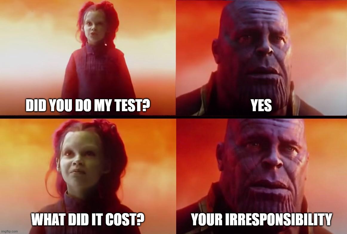 be responsible kids | DID YOU DO MY TEST? YES; WHAT DID IT COST? YOUR IRRESPONSIBILITY | image tagged in thanos what did it cost | made w/ Imgflip meme maker