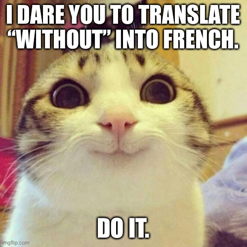 do it | I DARE YOU TO TRANSLATE “WITHOUT” INTO FRENCH. DO IT. | image tagged in memes,smiling cat,what the fu- | made w/ Imgflip meme maker