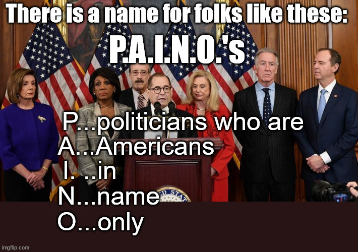 There are a LOT more that don't fit into the picture |  There is a name for folks like these:; P.A.I.N.O.'s; P...politicians who are; A...Americans; I. ..in; N...name; O...only | image tagged in house democrats,american politics,politician,dirty politics,america | made w/ Imgflip meme maker