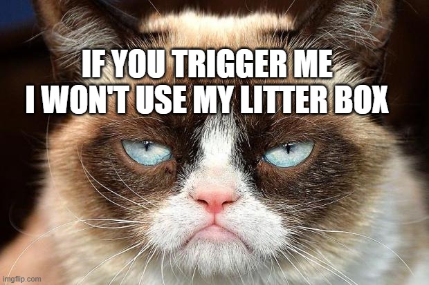 Grumpy Cat Not Amused | IF YOU TRIGGER ME  I WON'T USE MY LITTER BOX | image tagged in memes,grumpy cat not amused,grumpy cat | made w/ Imgflip meme maker