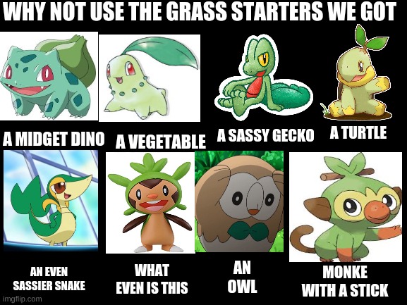 Blank White Template | WHY NOT USE THE GRASS STARTERS WE GOT; A TURTLE; A SASSY GECKO; A MIDGET DINO; A VEGETABLE; AN OWL; AN EVEN SASSIER SNAKE; WHAT EVEN IS THIS; MONKE WITH A STICK | image tagged in blank white template | made w/ Imgflip meme maker