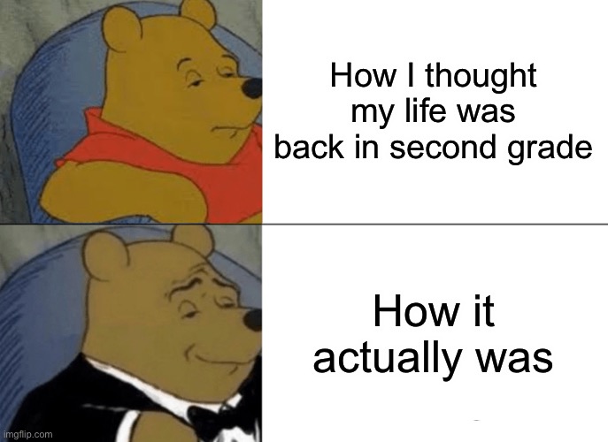 10/10 relatable | How I thought my life was back in second grade; How it actually was | image tagged in memes,tuxedo winnie the pooh | made w/ Imgflip meme maker