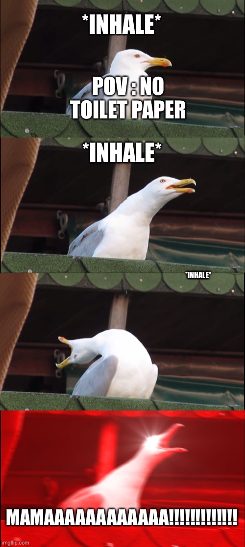 This is why we need toilet paper people | *INHALE*; POV : NO TOILET PAPER; *INHALE*; *INHALE*; MAMAAAAAAAAAAAA!!!!!!!!!!!!! | image tagged in memes,inhaling seagull | made w/ Imgflip meme maker