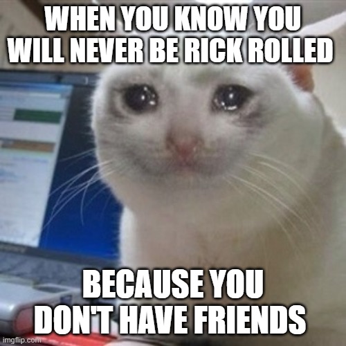 Crying cat | WHEN YOU KNOW YOU WILL NEVER BE RICK ROLLED; BECAUSE YOU DON'T HAVE FRIENDS | image tagged in crying cat | made w/ Imgflip meme maker