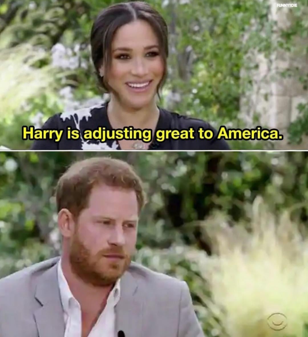 Prince Harry is Adjusting Blank Meme Template