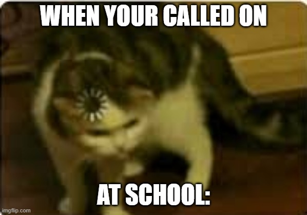 Buffering cat | WHEN YOUR CALLED ON; AT SCHOOL: | image tagged in buffering cat | made w/ Imgflip meme maker