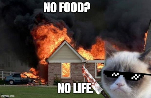 Burn Kitty Meme | NO FOOD? NO LIFE. | image tagged in memes,burn kitty,grumpy cat | made w/ Imgflip meme maker