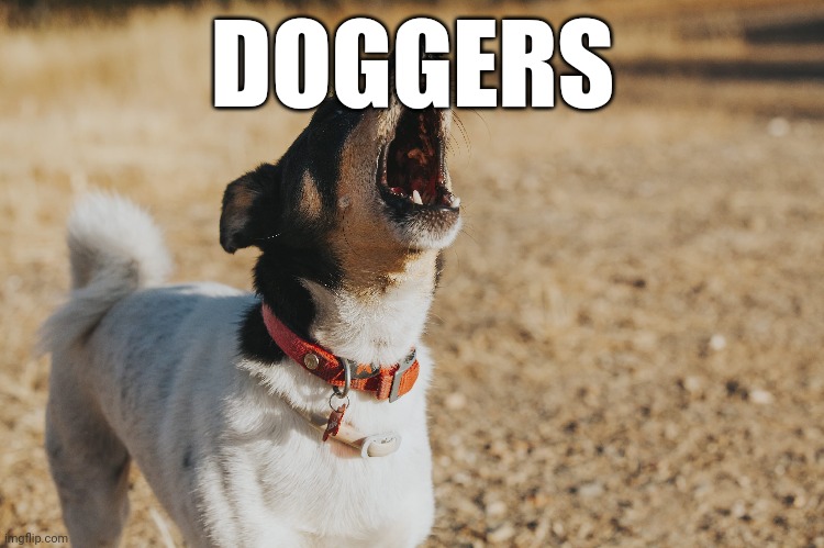 Doggers | DOGGERS | image tagged in poggers | made w/ Imgflip meme maker