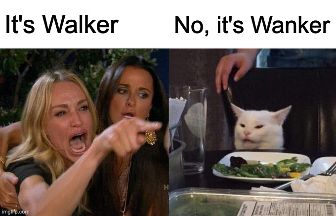 Woman Yelling At Cat Meme | It's Walker No, it's Wanker | image tagged in memes,woman yelling at cat | made w/ Imgflip meme maker