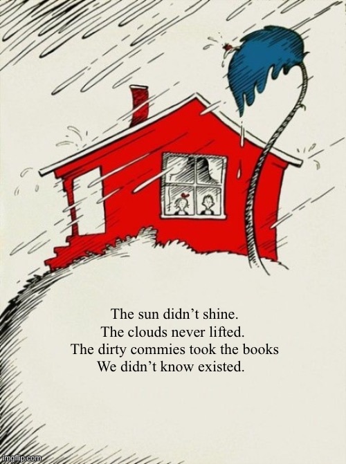 Dr Seuss Cat in the Hat |  The sun didn’t shine.
The clouds never lifted. 
The dirty commies took the books
We didn’t know existed. | image tagged in maga,books,dr seuss,cat in the hat,commies,snowflakes | made w/ Imgflip meme maker