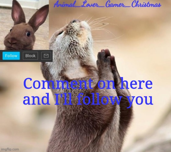 Hi | Comment on here and I'll follow you | image tagged in i_love_animals3 announcement template | made w/ Imgflip meme maker