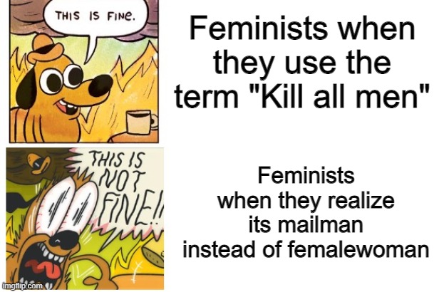 Kill all men | Feminists when they use the term "Kill all men"; Feminists when they realize its mailman instead of femalewoman | image tagged in this is fine this is not fine,triggered feminist | made w/ Imgflip meme maker