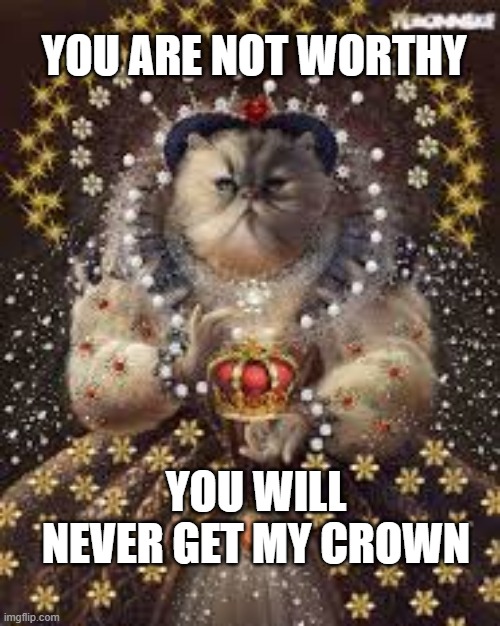 Queen Cat | YOU ARE NOT WORTHY; YOU WILL NEVER GET MY CROWN | image tagged in queen cat,meghan markle,prince harry,the queen elizabeth ii,funny,dogs an cats | made w/ Imgflip meme maker