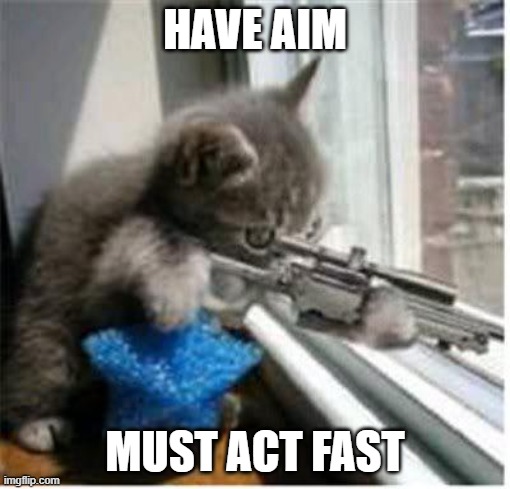 cats with guns | HAVE AIM; MUST ACT FAST | image tagged in cats with guns | made w/ Imgflip meme maker
