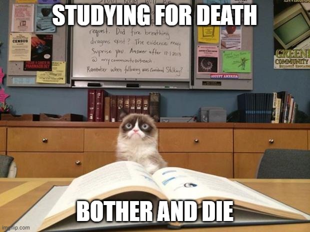 Grumpy cat studying | STUDYING FOR DEATH; BOTHER AND DIE | image tagged in grumpy cat studying | made w/ Imgflip meme maker