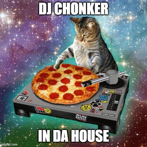 Space Cat Happy Birthday | DJ CHONKER; IN DA HOUSE | image tagged in space cat happy birthday | made w/ Imgflip meme maker