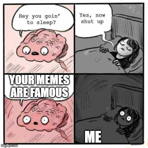 Hey you going to sleep? |  YOUR MEMES ARE FAMOUS; ME | image tagged in hey you going to sleep | made w/ Imgflip meme maker