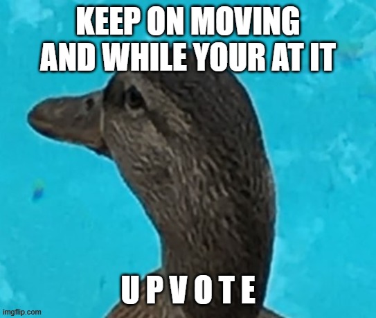 U P V O T E or ducky will be sad | KEEP ON MOVING AND WHILE YOUR AT IT; U P V O T E | made w/ Imgflip meme maker