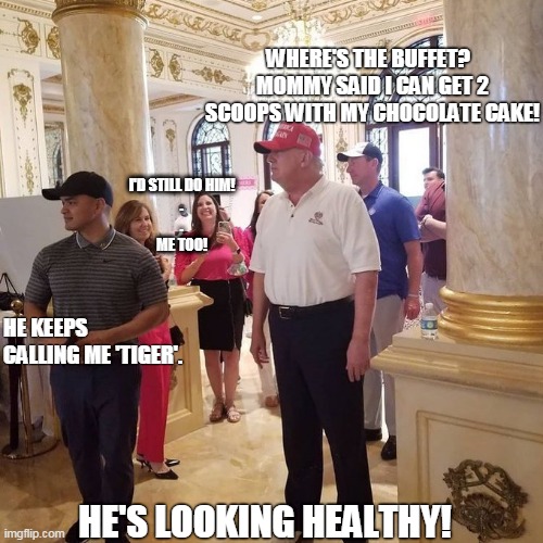 Trump looking healthy | WHERE'S THE BUFFET?  
MOMMY SAID I CAN GET 2 SCOOPS WITH MY CHOCOLATE CAKE! I'D STILL DO HIM!
.
.
ME TOO! HE KEEPS CALLING ME 'TIGER'. HE'S LOOKING HEALTHY! | image tagged in old man trump,mar a lago,tiger,maga2024,trump | made w/ Imgflip meme maker
