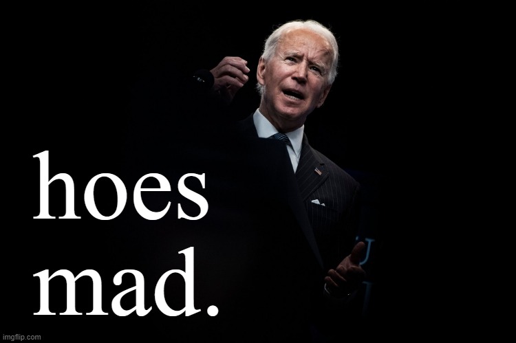 Joe Biden hoes mad Blank Meme Template