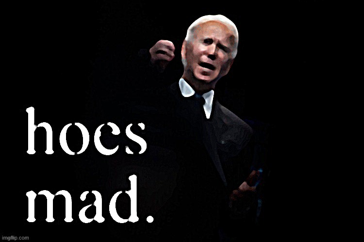 Joe Biden hoes mad | image tagged in joe biden hoes mad | made w/ Imgflip meme maker