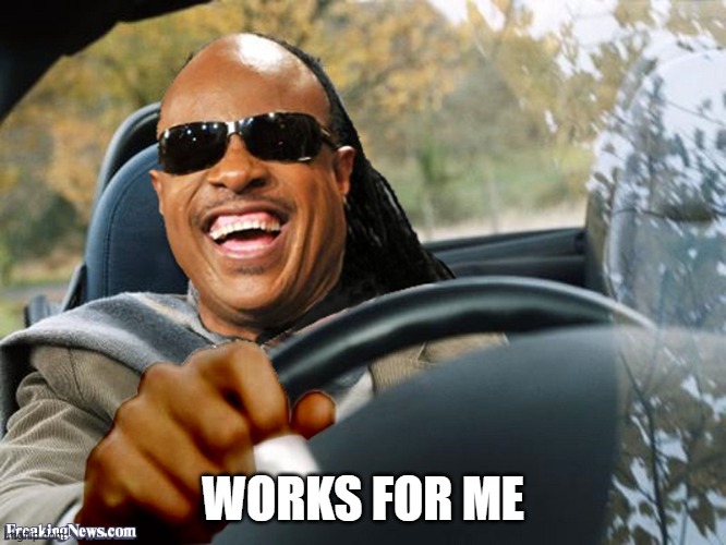 Stevie Wonder Driving | WORKS FOR ME | image tagged in stevie wonder driving | made w/ Imgflip meme maker