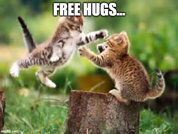 me sad...;-; | FREE HUGS... | image tagged in free hugs | made w/ Imgflip meme maker
