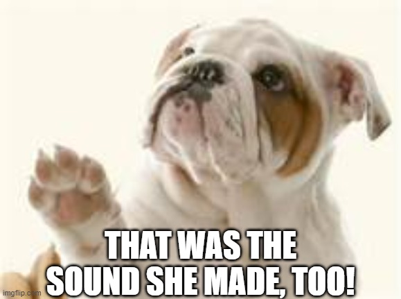 THAT WAS THE SOUND SHE MADE, TOO! | made w/ Imgflip meme maker