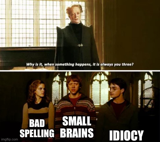 Always you three | BAD SPELLING SMALL BRAINS IDIOCY | image tagged in always you three | made w/ Imgflip meme maker