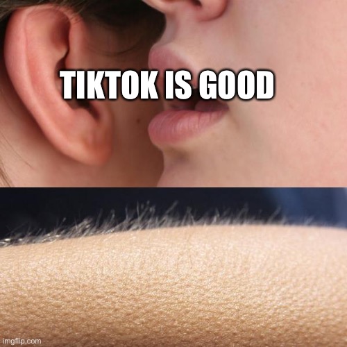 Low Effort Meme and Kinda overused idea | TIKTOK IS GOOD | image tagged in whisper and goosebumps | made w/ Imgflip meme maker