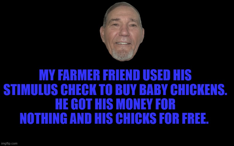 black screen | MY FARMER FRIEND USED HIS STIMULUS CHECK TO BUY BABY CHICKENS.
HE GOT HIS MONEY FOR NOTHING AND HIS CHICKS FOR FREE. | image tagged in kewlew joke,funny,lol | made w/ Imgflip meme maker