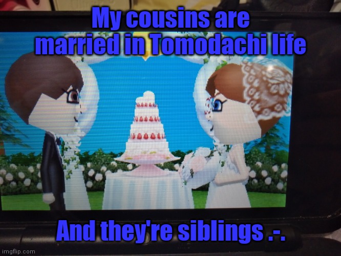 I'm kinda weirded out | My cousins are married in Tomodachi life; And they're siblings .-. | image tagged in tomodachi life,weird,married | made w/ Imgflip meme maker