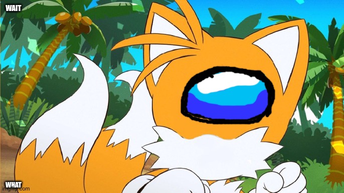 Woah tails_official | WAIT; WHAT | image tagged in draw a face on tails | made w/ Imgflip meme maker