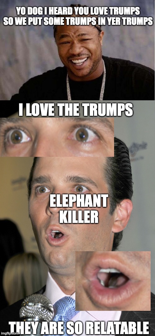 YO DOG I HEARD YOU LOVE TRUMPS SO WE PUT SOME TRUMPS IN YER TRUMPS; I LOVE THE TRUMPS; ELEPHANT KILLER; THEY ARE SO RELATABLE | image tagged in memes,yo dawg heard you,trump jr uh oh | made w/ Imgflip meme maker