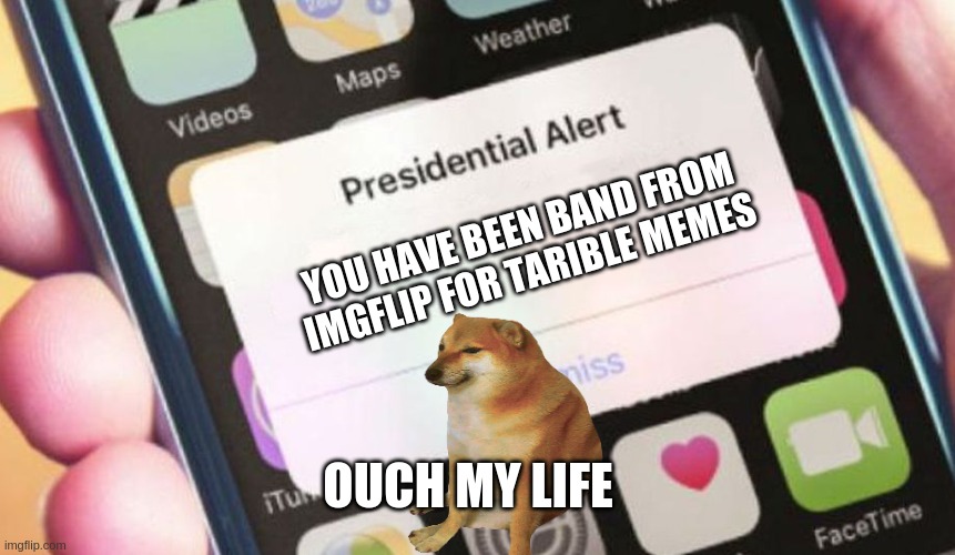 Presidential Alert | YOU HAVE BEEN BAND FROM IMGFLIP FOR TARIBLE MEMES; OUCH MY LIFE | image tagged in memes,presidential alert | made w/ Imgflip meme maker