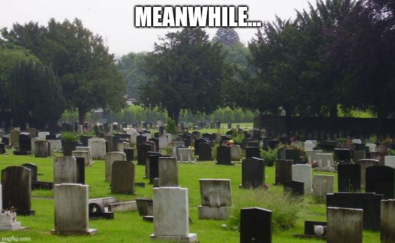 Graveyard | MEANWHILE... | image tagged in graveyard | made w/ Imgflip meme maker