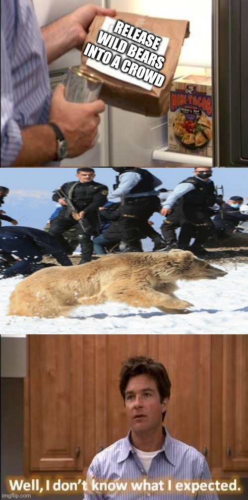 I don't Know What I Expected | RELEASE WILD BEARS INTO A CROWD | image tagged in i don't know what i expected | made w/ Imgflip meme maker